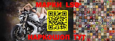 spice Обнинск
