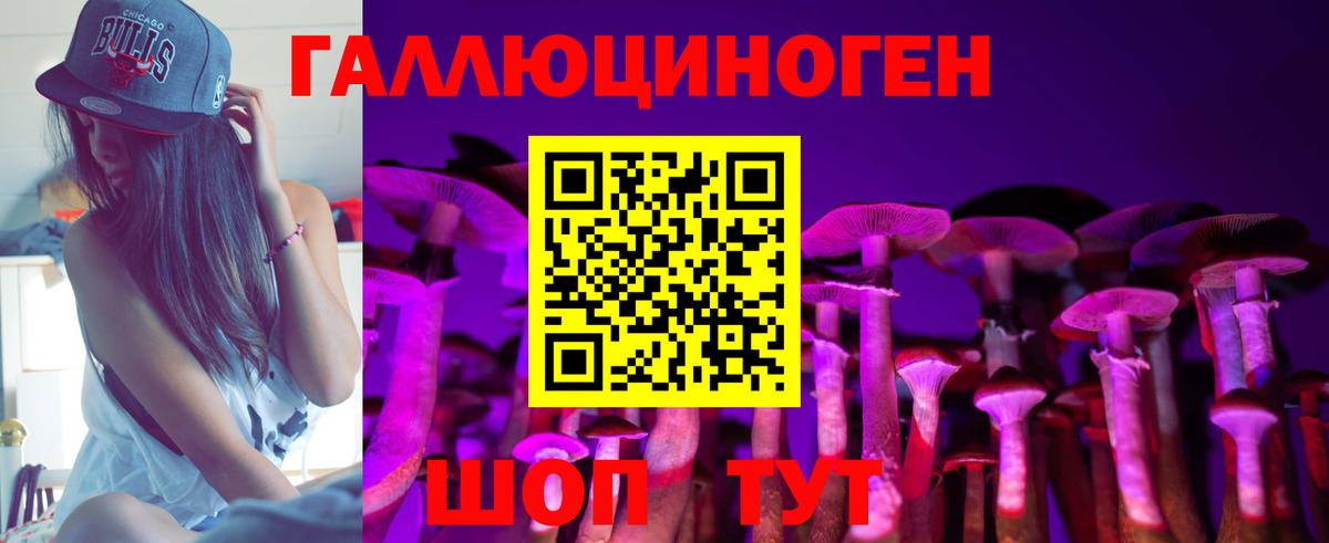 Галлюциногенные грибы прущие грибы  Псилоцибиновые грибы Psilocybine cubensis  Вход с VPN  Советская Гавань 